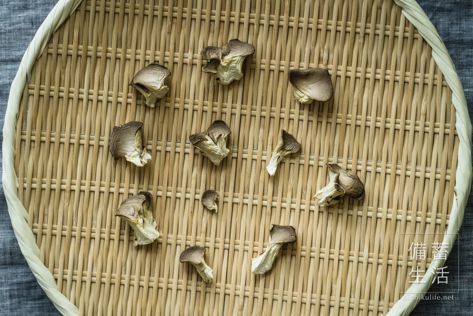 あわび茸を干して1日経過
