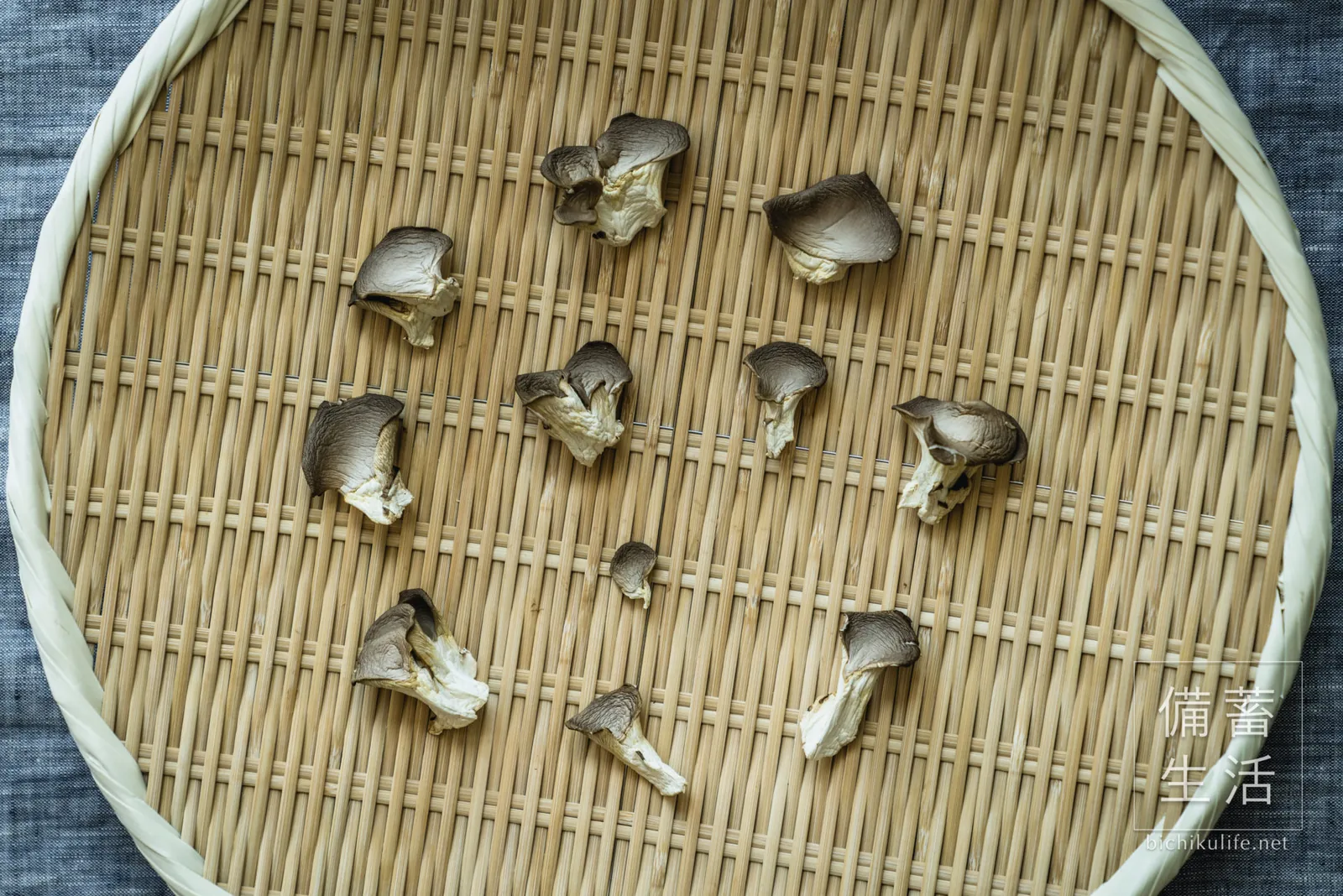 あわび茸を干して2日経過し、ドライに仕上がったところ