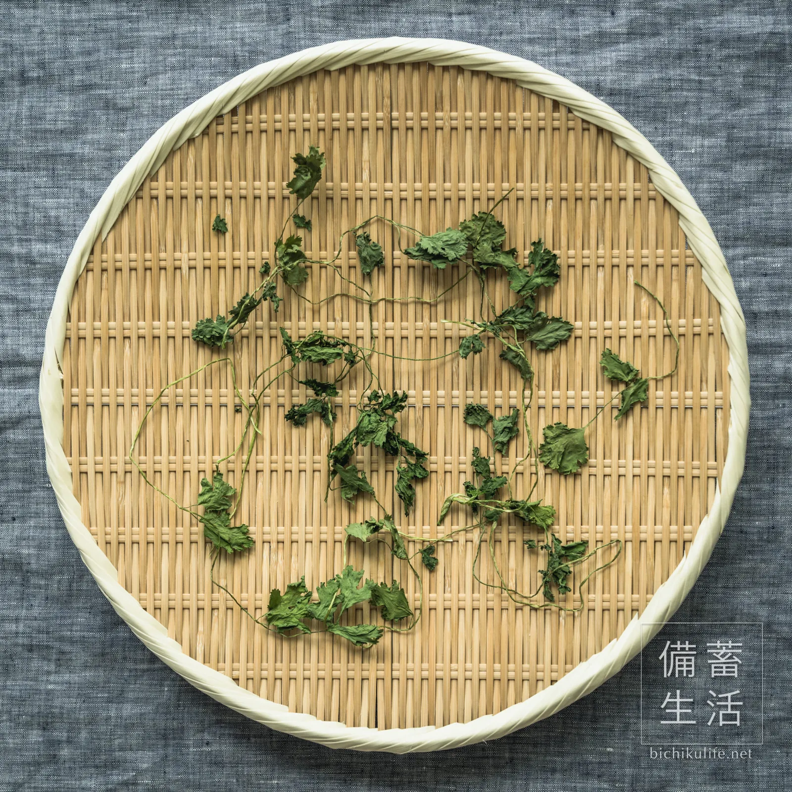 茎ごと干し上がった干しパクチー