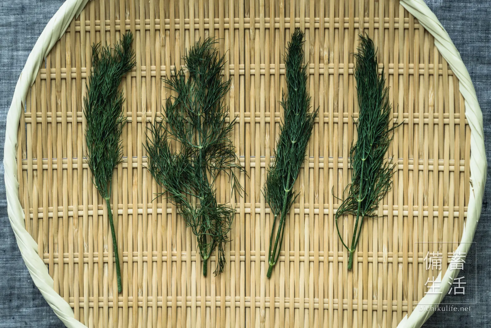 茎ごとざるに並べた、干す前のディル
