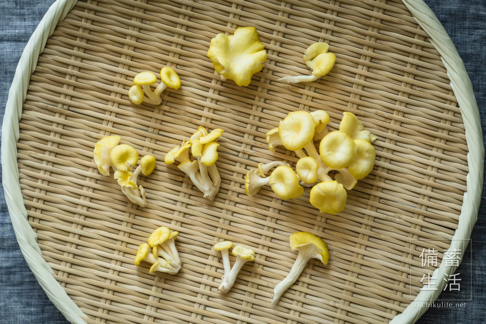 手で裂いてざるに並べた、干す前のたもぎ茸