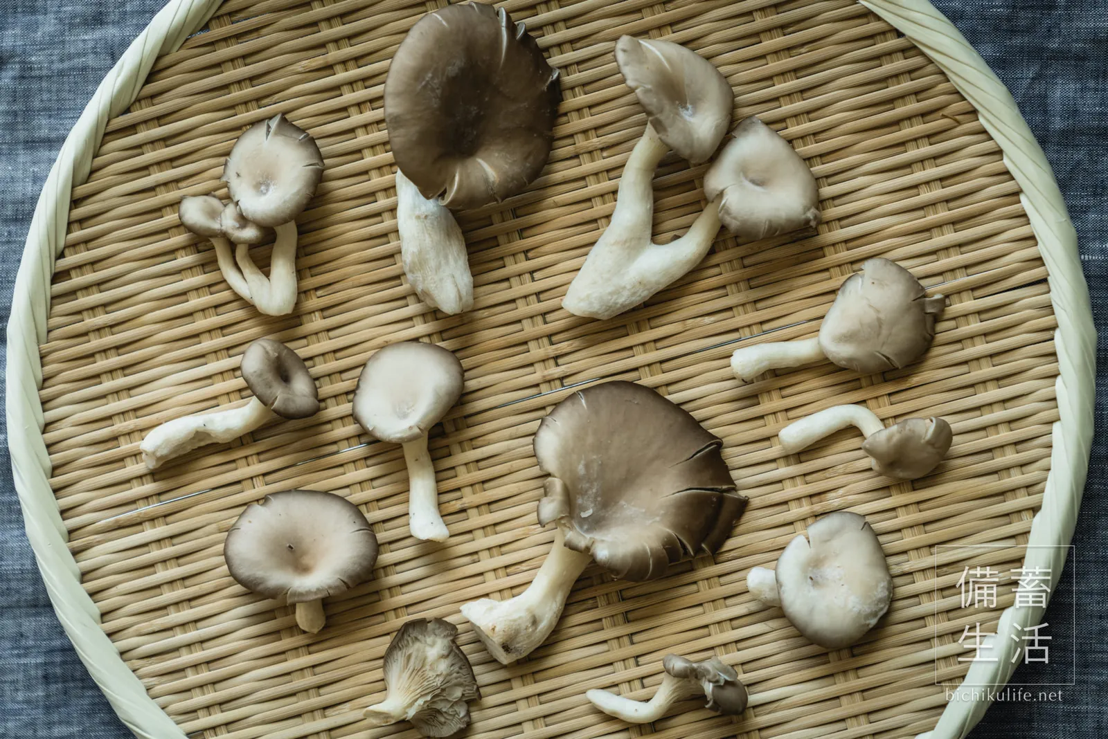 株をばらしてざるに並べた、干す前の平茸