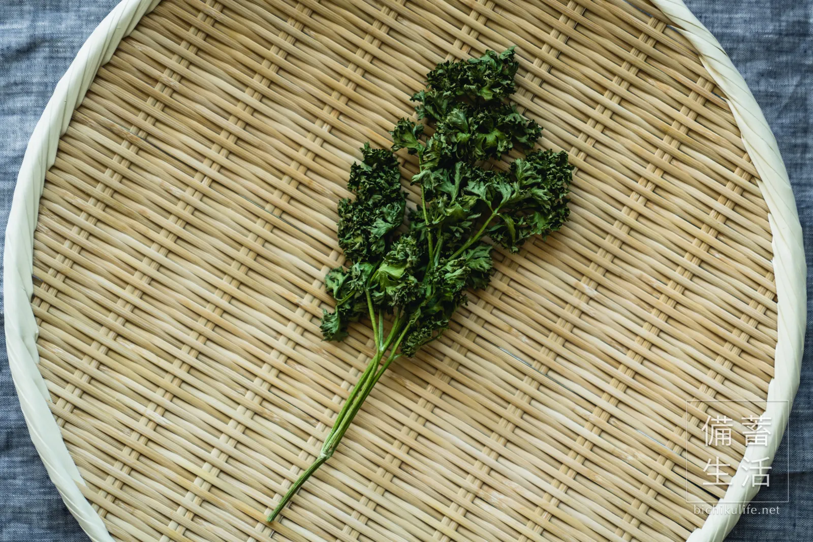 パセリを干して3日経過