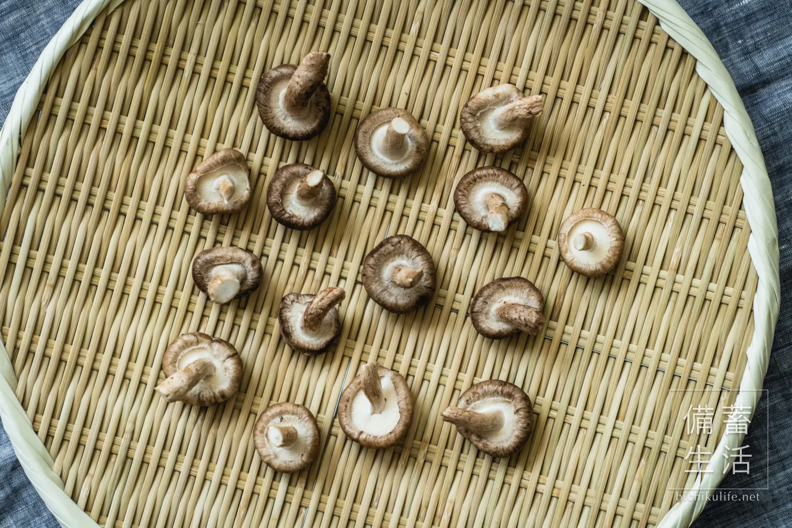 石づきを落とし、ひだを上にしてざるに並べた、干す前の生椎茸