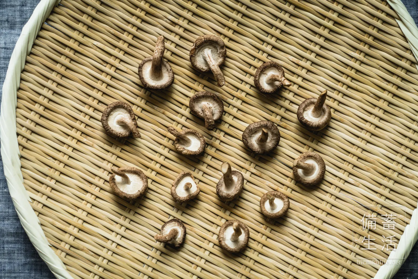 干して1日経過した椎茸