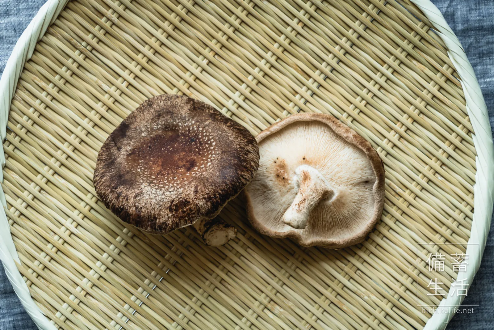 竹ざるにのせた、傘の大きなジャンボ椎茸