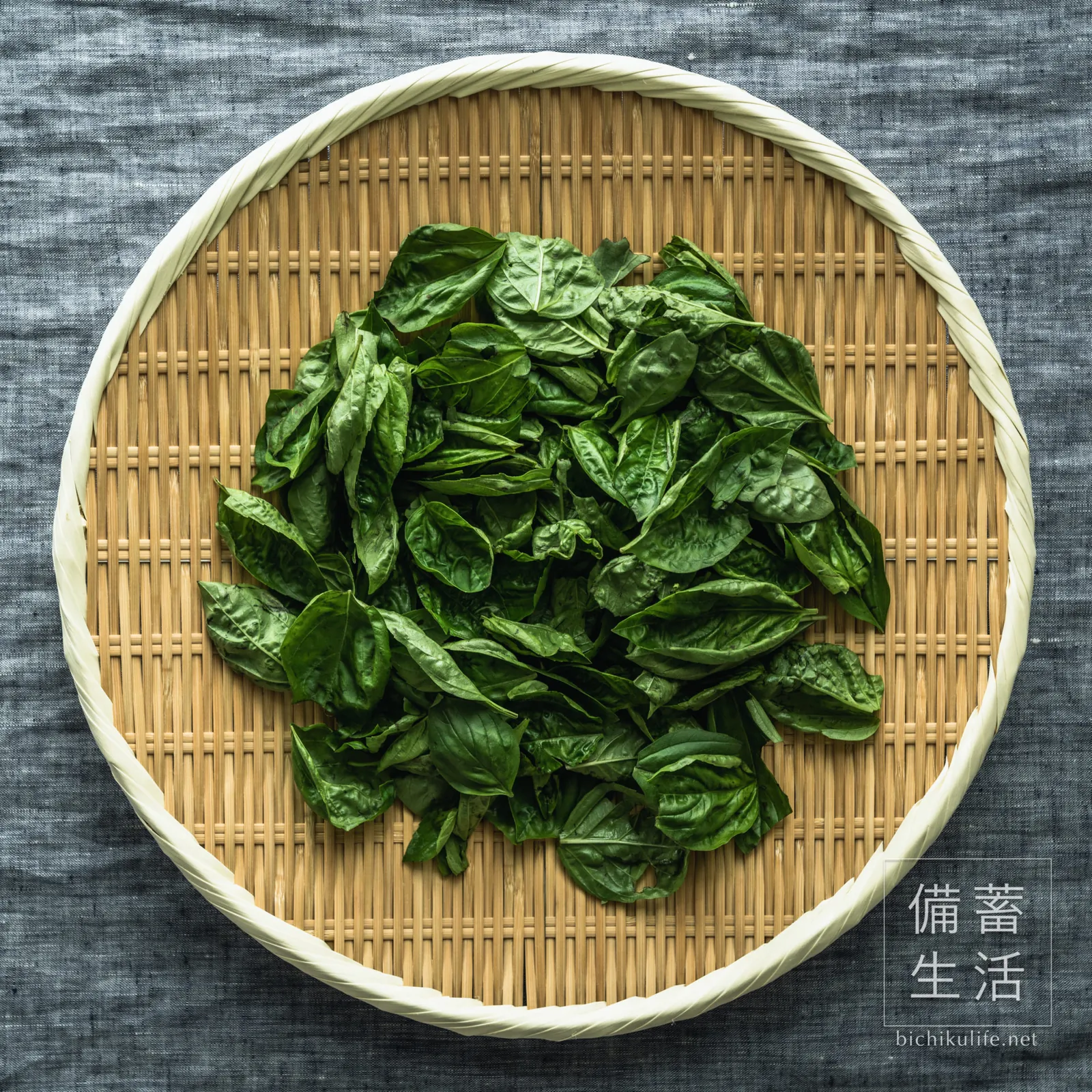 Fresh basil leaves picked from the stems