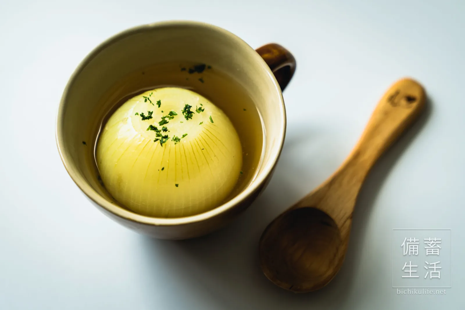 Sapporo-ki onions and vegetable stock