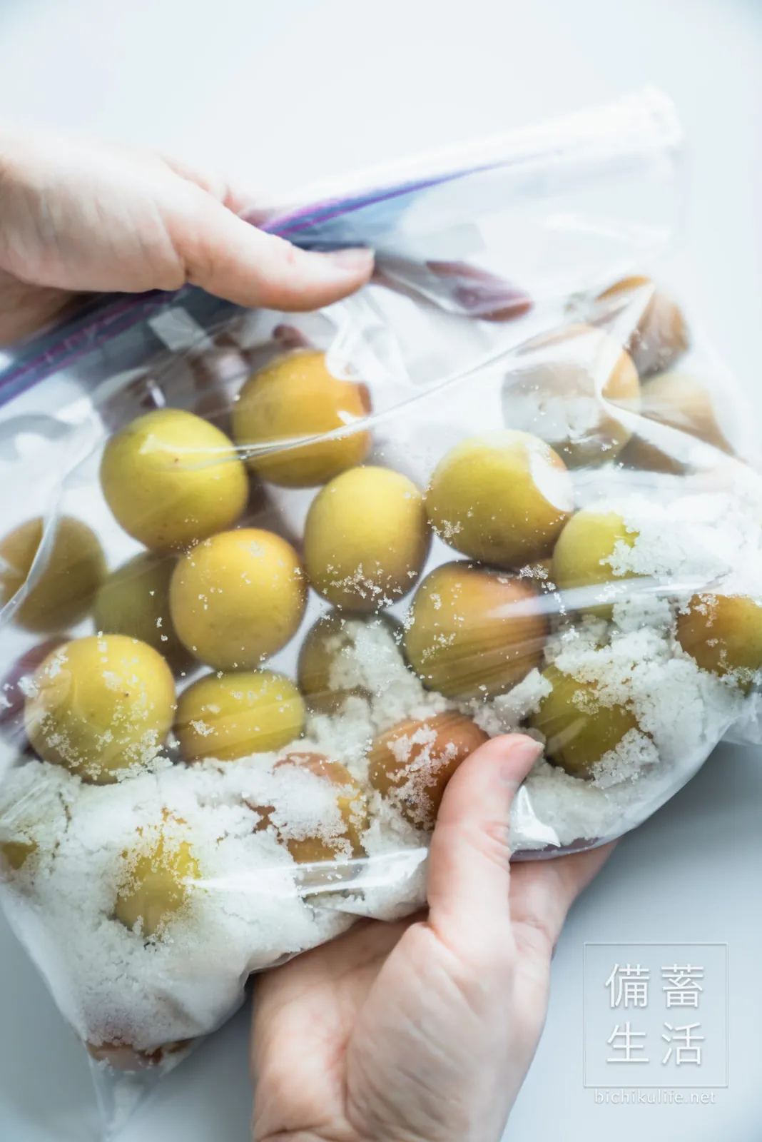 梅干しづくり 自家製梅干しを作るアイデア