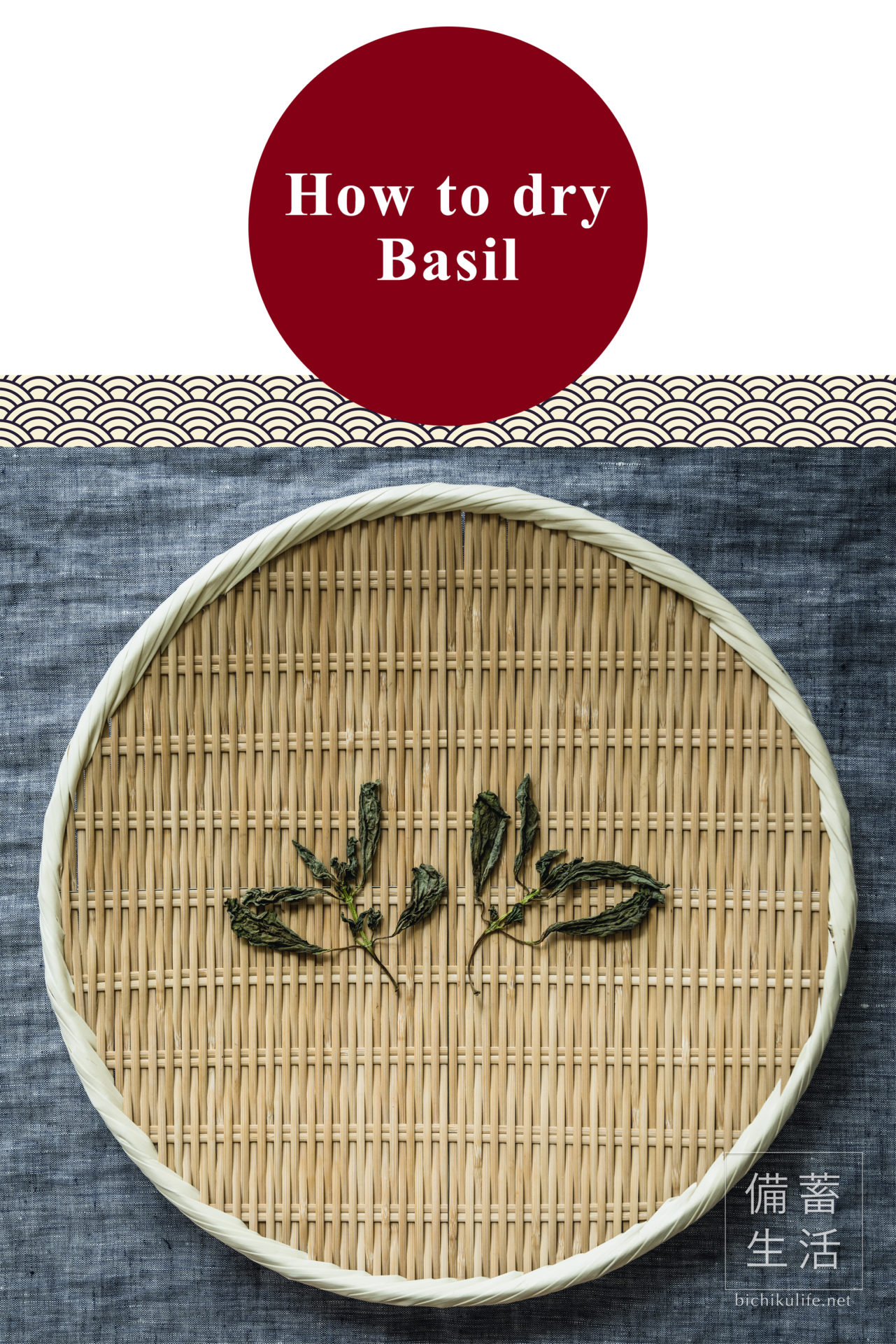 How to dry Basil
